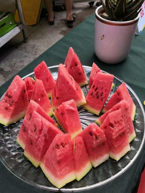 51大赛吃瓜黑料网台湾网红皮皮,51大赛吃瓜黑料网风云人物揭秘