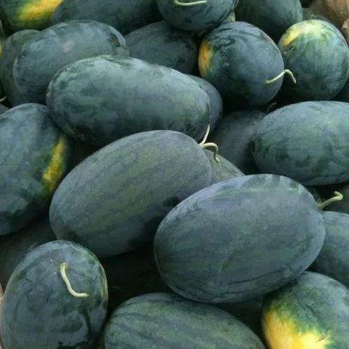 鸡泽黑料吃瓜,揭秘网络吃瓜背后的真相与争议