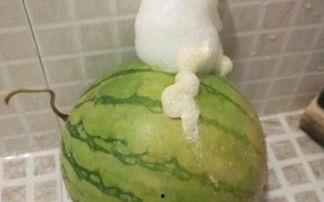 泡泡吃瓜黑料,泡泡吃瓜，黑料背后的真相