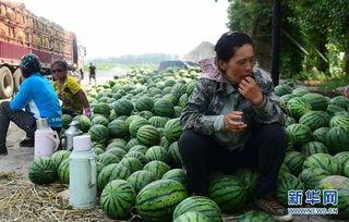 连城县吃瓜黑料最新事件